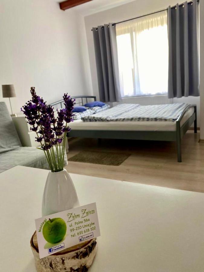 Zielone Zacisze Villa Uniejow Ngoại thất bức ảnh