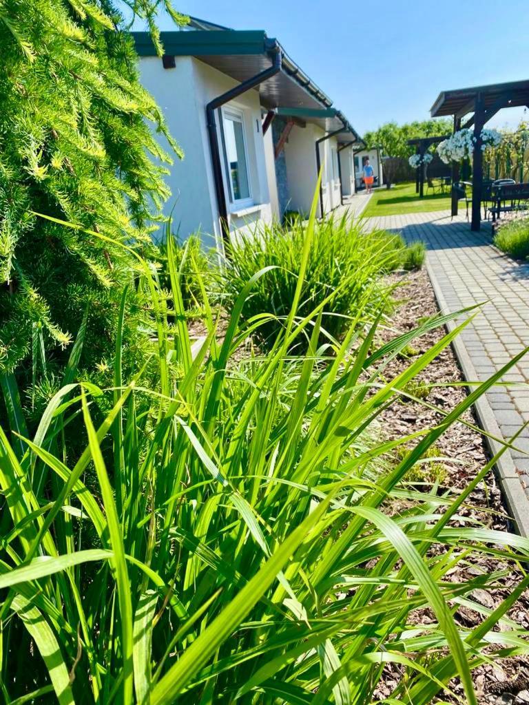 Zielone Zacisze Villa Uniejow Ngoại thất bức ảnh