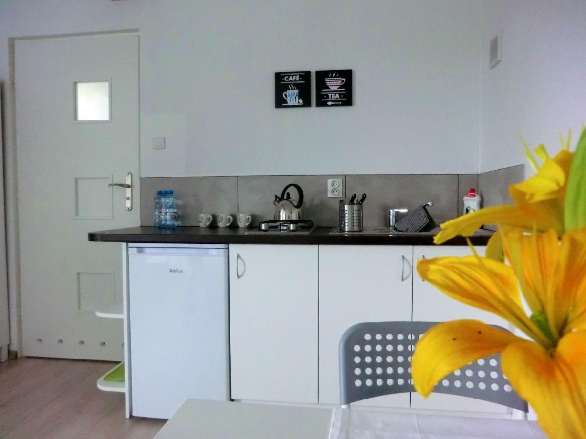 Zielone Zacisze Villa Uniejow Ngoại thất bức ảnh