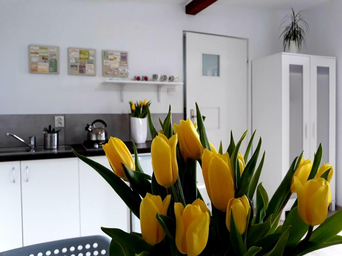 Zielone Zacisze Villa Uniejow Ngoại thất bức ảnh